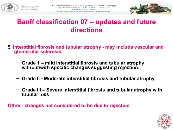 Banff classification 07 – updates and future directions 5. Interstitial