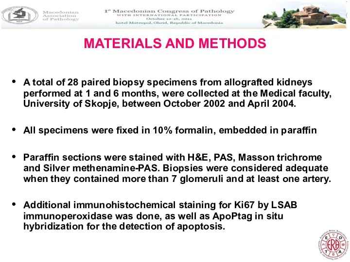 MATERIALS AND METHODS A total of 28 paired biopsy specimens