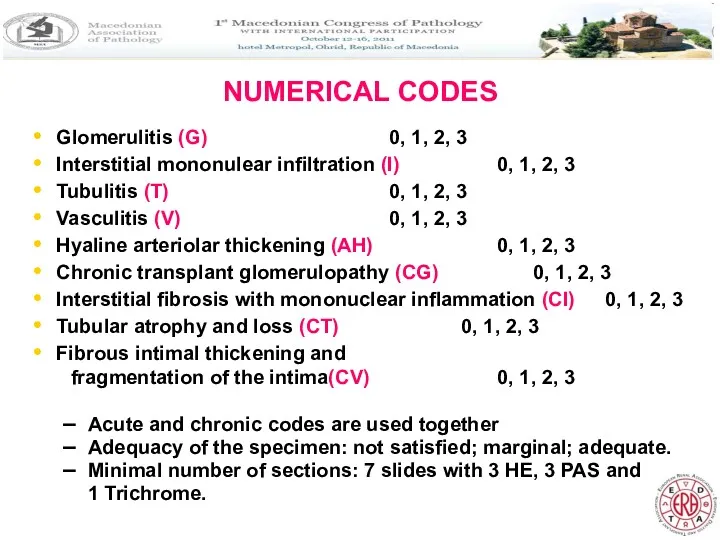 NUMERICAL CODES Glomerulitis (G) 0, 1, 2, 3 Interstitial mononulear