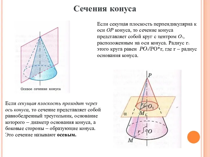 Сечения конуса Если секущая плоскость проходит через ось конуса, то