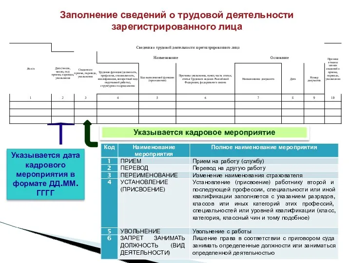 Заполнение сведений о трудовой деятельности зарегистрированного лица Указывается дата кадрового