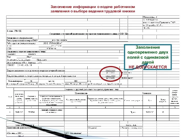 Заполнение информации о подаче работником заявления о выборе ведения трудовой