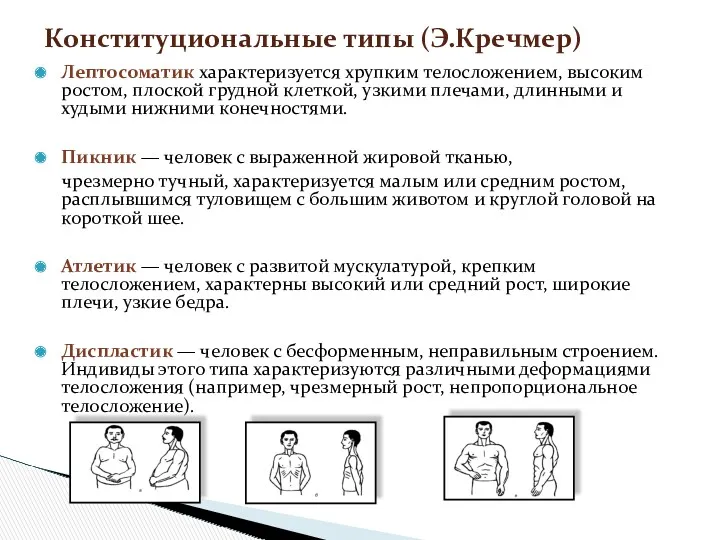 Лептосоматик характеризуется хрупким телосложением, высоким ростом, плоской грудной клеткой, узкими