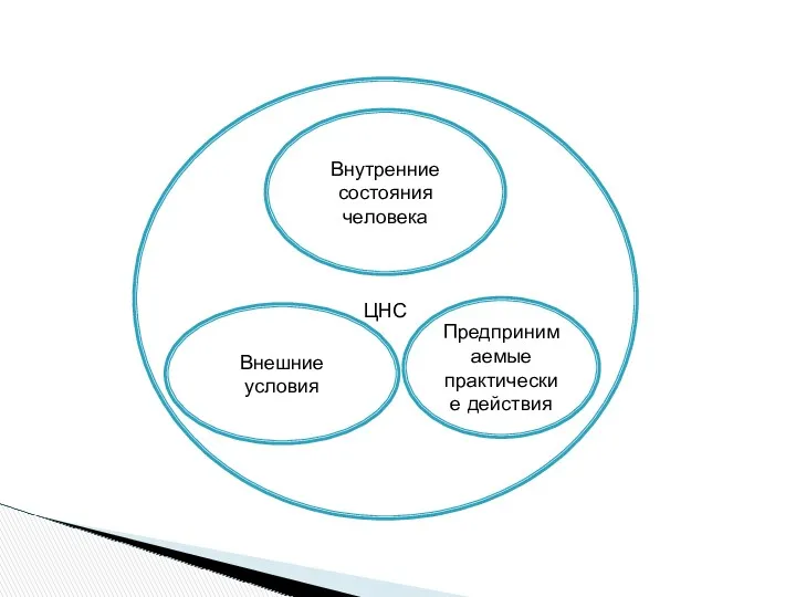 ЦНС Внутренние состояния человека Предпринимаемые практические действия Внешние условия