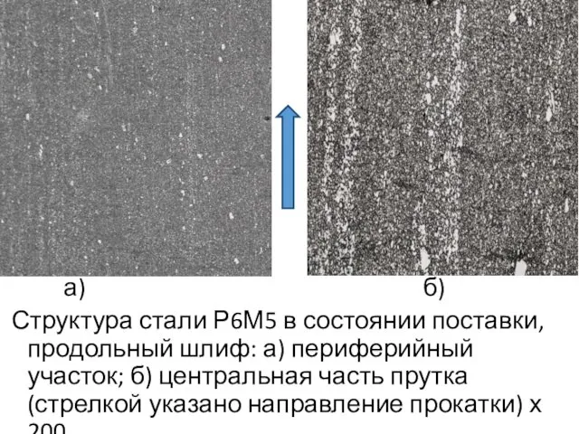 а) б) Структура стали Р6М5 в состоянии поставки, продольный шлиф: а) периферийный участок;