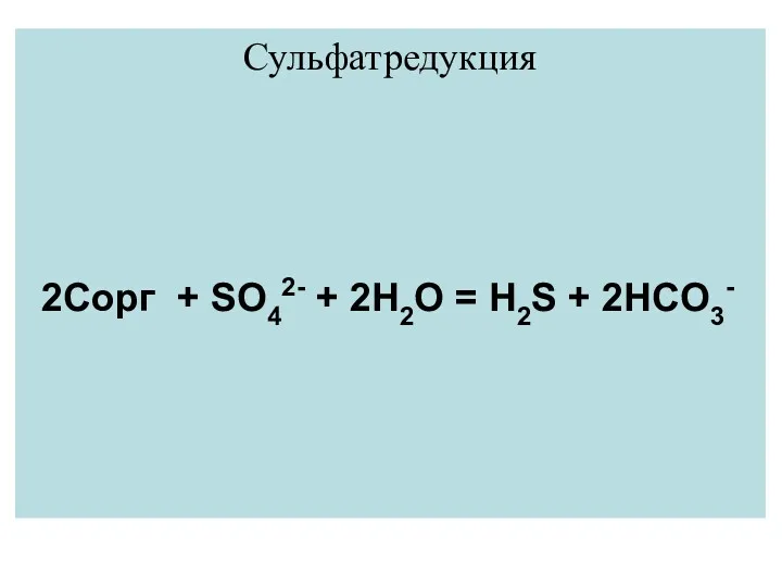 Сульфатредукция 2Cорг + SO42- + 2H2O = H2S + 2HCO3-