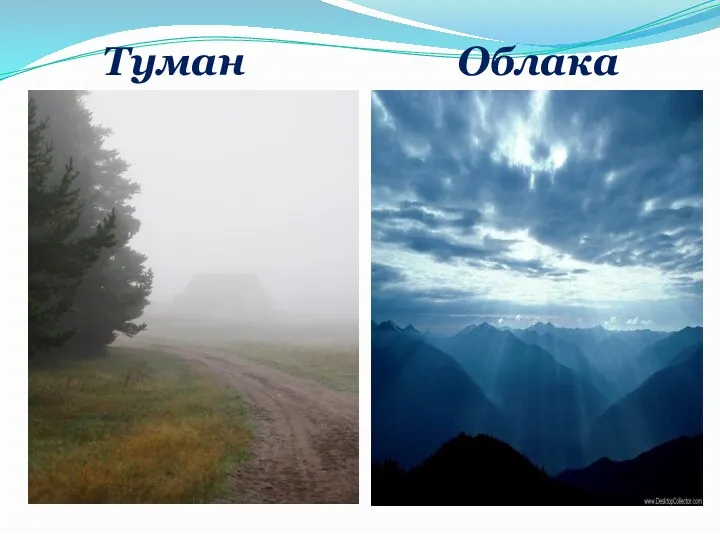 Туман Облака