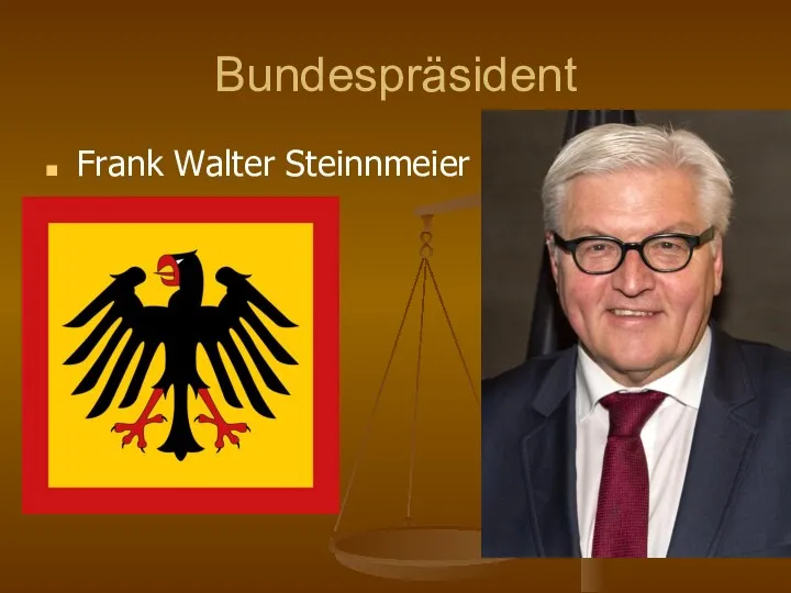 Bundespräsident Frank Walter Steinnmeier