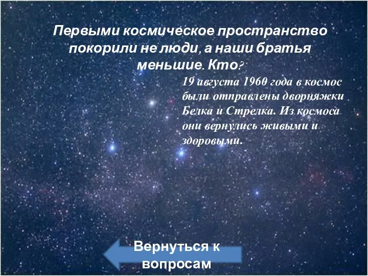 Первыми космическое пространство покорили не люди, а наши братья меньшие.