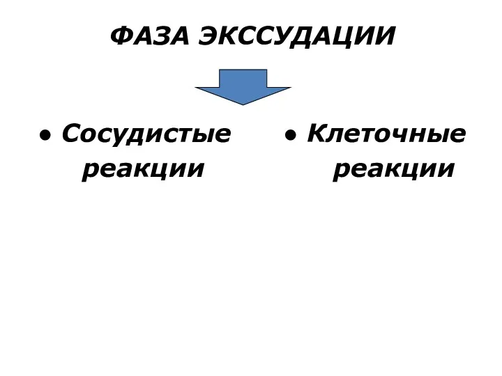 ФАЗА ЭКССУДАЦИИ ● Сосудистые ● Клеточные реакции реакции