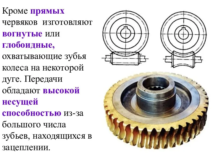 Кроме прямых червяков изготовляют вогнутые или глобоидные, охватывающие зубья колеса