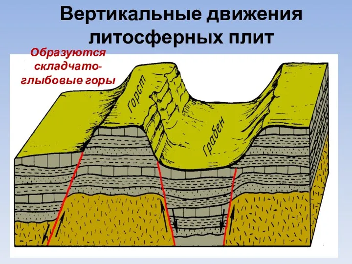Вертикальные движения литосферных плит Образуются складчато- глыбовые горы