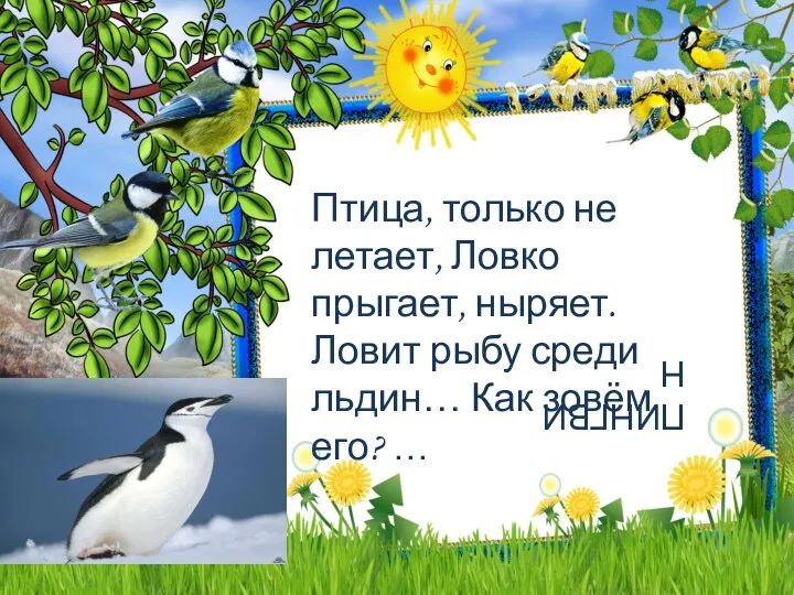 Птица, только не летает, Ловко прыгает, ныряет. Ловит рыбу среди льдин… Как зовём его? … ПИНГВИН