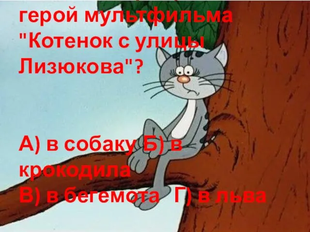 15. В кого превратился герой мультфильма "Котенок с улицы Лизюкова"?