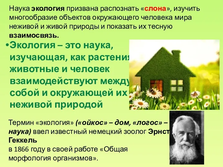 Наука экология призвана распознать «слона», изучить многообразие объектов окружающего человека