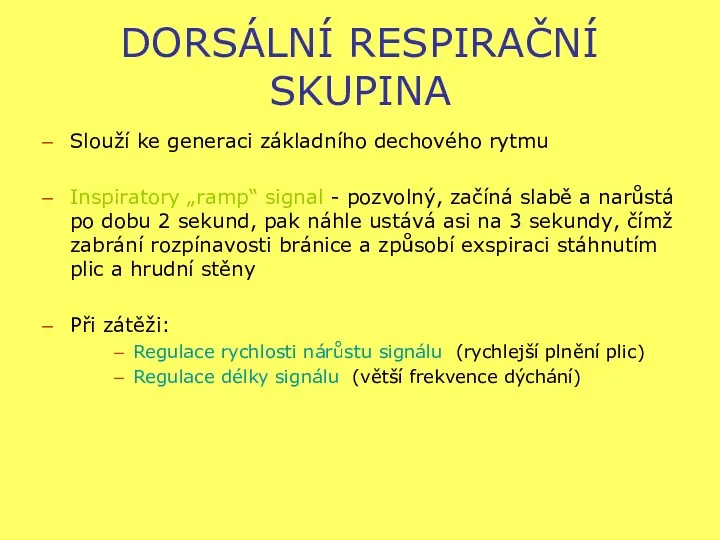 DORSÁLNÍ RESPIRAČNÍ SKUPINA Slouží ke generaci základního dechového rytmu Inspiratory