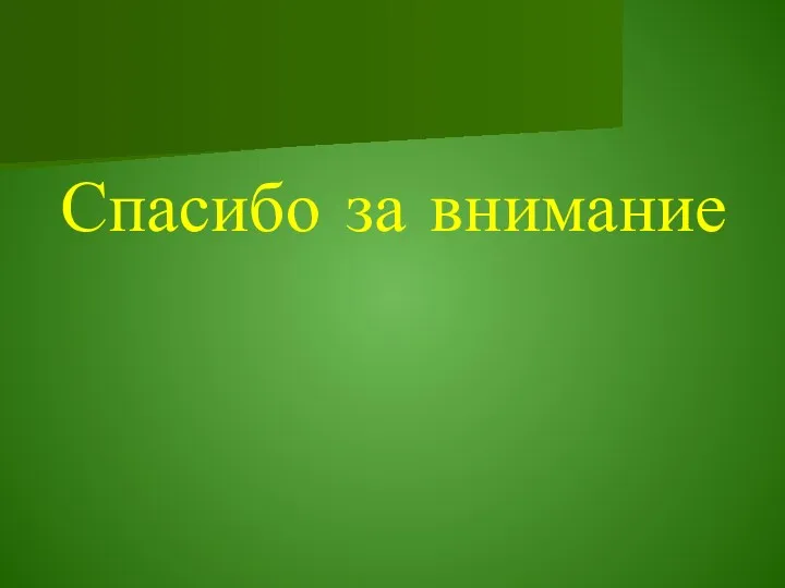 Спасибо за внимание