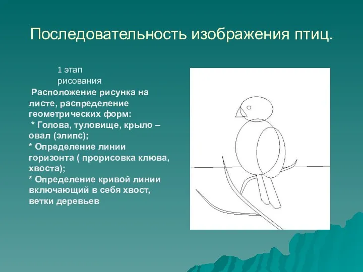 Последовательность изображения птиц. Расположение рисунка на листе, распределение геометрических форм: