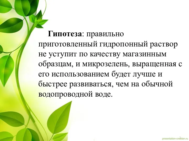 Гипотеза: правильно приготовленный гидропонный раствор не уступит по качеству магазинным