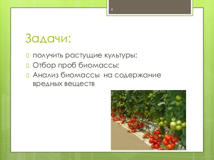 Задачи: получить растущие культуры; Отбор проб биомассы; Анализ биомассы на содержание вредных веществ