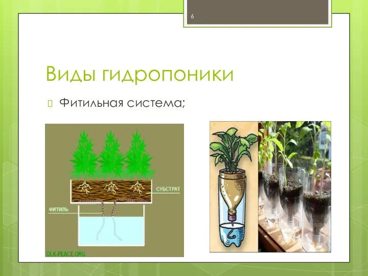 Виды гидропоники Фитильная система;