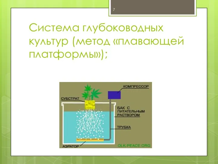 Система глубоководных культур (метод «плавающей платформы»);