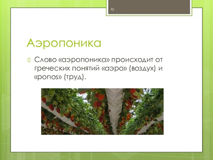 Аэропоника Слово «аэропоника» происходит от греческих понятий «аэро» (воздух) и «ponos» (труд).