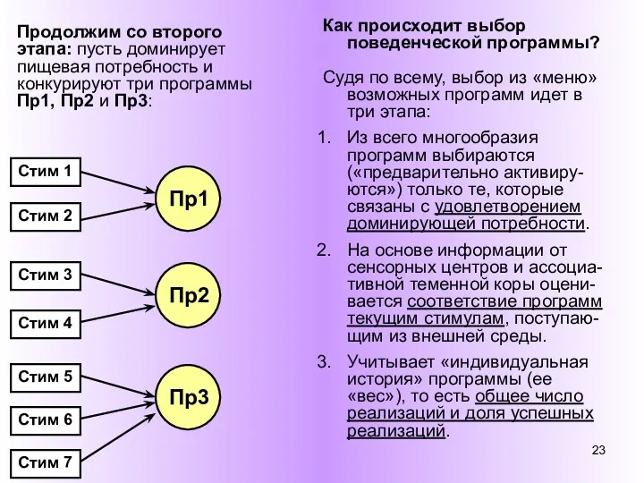 Продолжим со второго этапа: пусть доминирует пищевая потребность и конкурируют