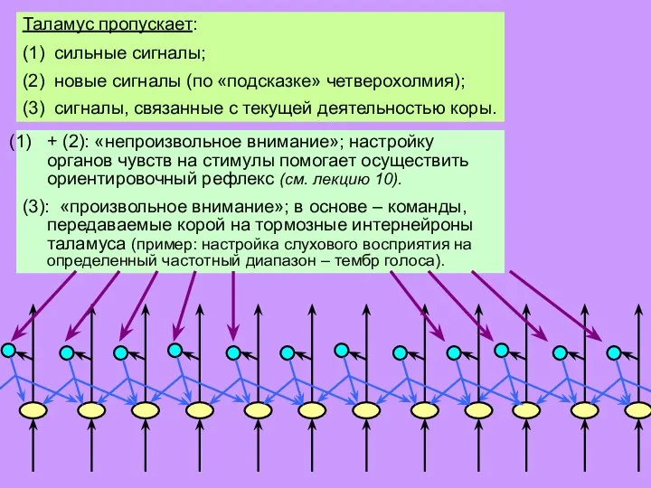 Таким образом, всякий сигнал (прежде всего, сенсорный) должен доказать, что