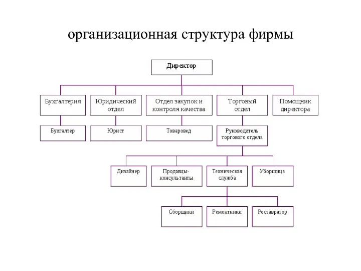 организационная структура фирмы