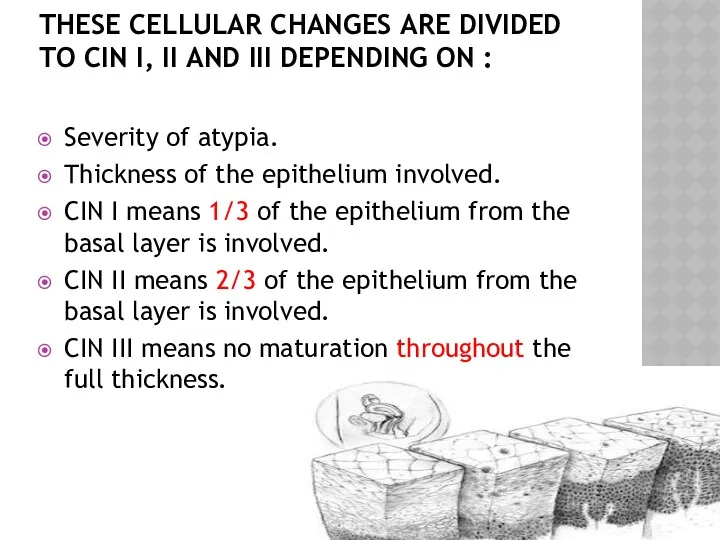 THESE CELLULAR CHANGES ARE DIVIDED TO CIN I, II AND