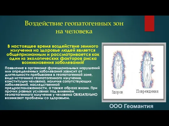 Воздействие геопатогенных зон на человека В настоящее время воздействие земного