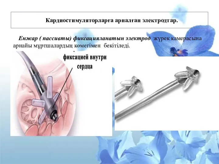 Кардиостимуляторларға арналған электродтар. I. Енжар ( пассивты) фиксацияланатын электрод жүрек камерасына арнайы мұртшалардың көмегімен бекітіледі.