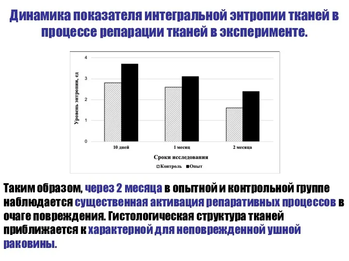 Динамика показателя интегральной энтропии тканей в процессе репарации тканей в