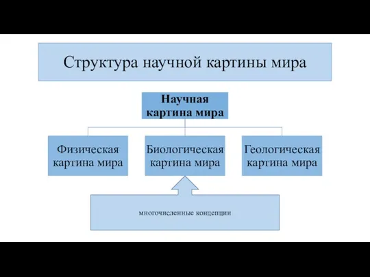 Структура научной картины мира многочисленные концепции