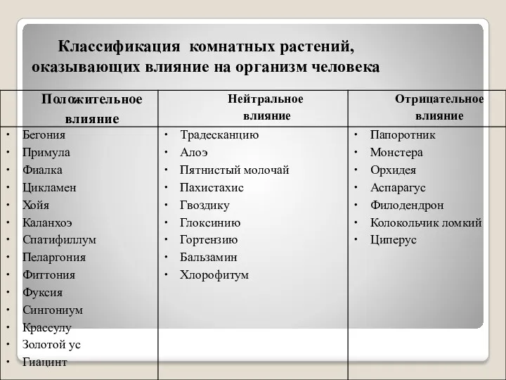 Классификация комнатных растений, оказывающих влияние на организм человека