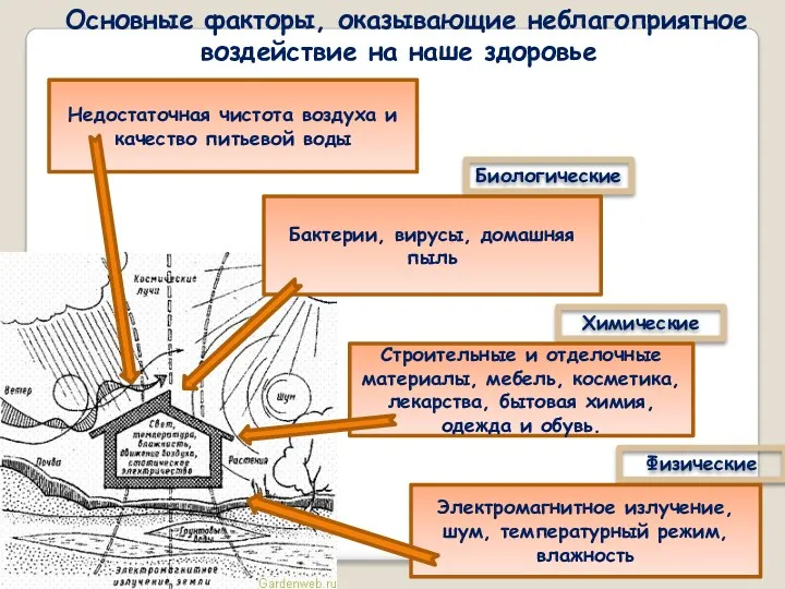 Основные факторы, оказывающие неблагоприятное воздействие на наше здоровье Химические Биологические