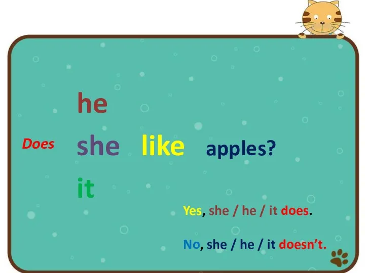 Does he she like apples? it Yes, she / he / it does.