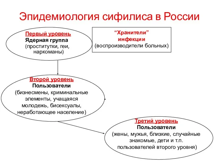 Эпидемиология сифилиса в России Первый уровень Ядерная группа (проститутки, геи, наркоманы) Второй уровень