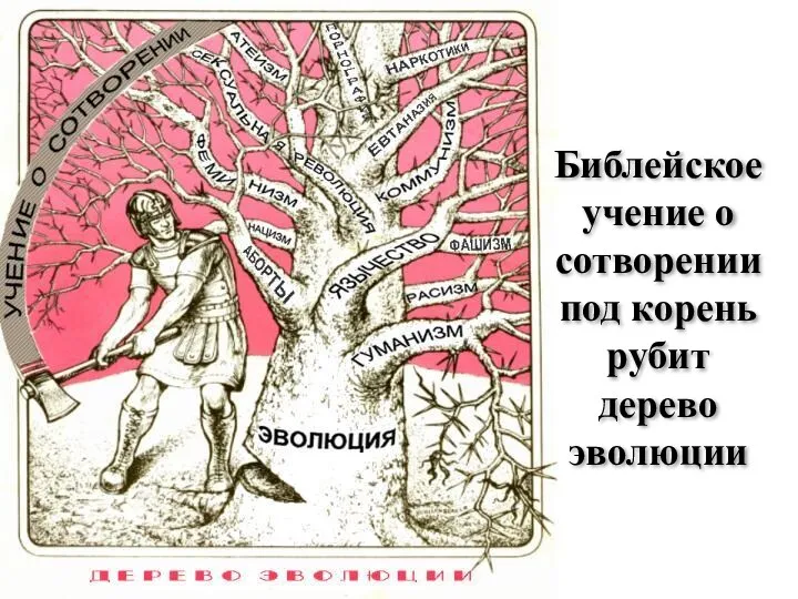 Библейское учение о сотворении под корень рубит дерево эволюции