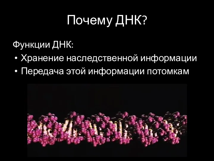 Почему ДНК? Функции ДНК: Хранение наследственной информации Передача этой информации потомкам
