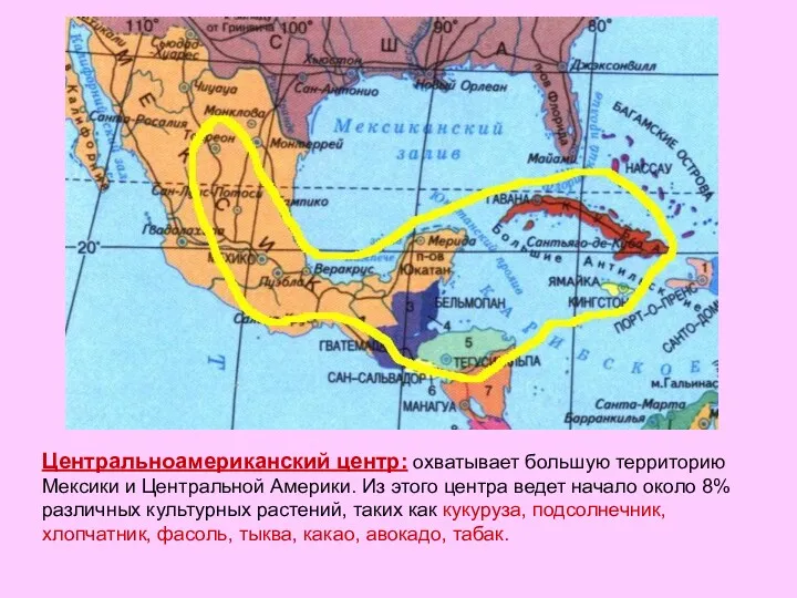 Центральноамериканский центр: охватывает большую территорию Мексики и Центральной Америки. Из