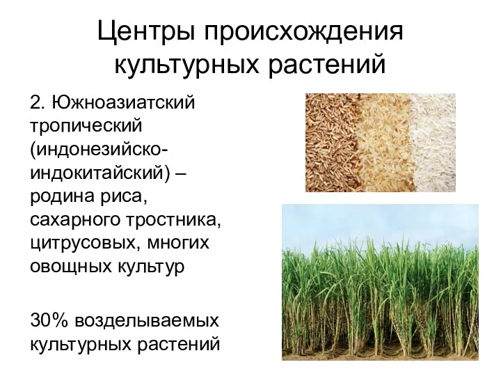 Центры происхождения культурных растений 2. Южноазиатский тропический (индонезийско-индокитайский) – родина