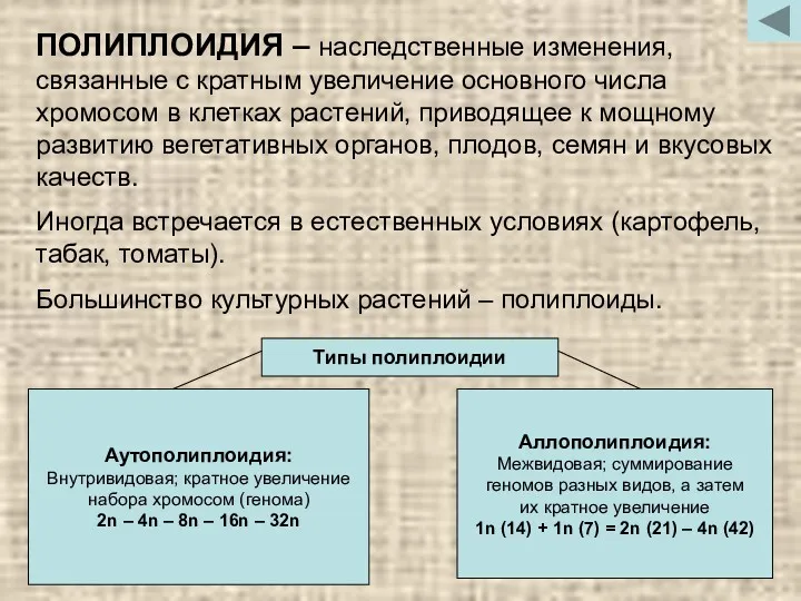 ПОЛИПЛОИДИЯ – наследственные изменения, связанные с кратным увеличение основного числа