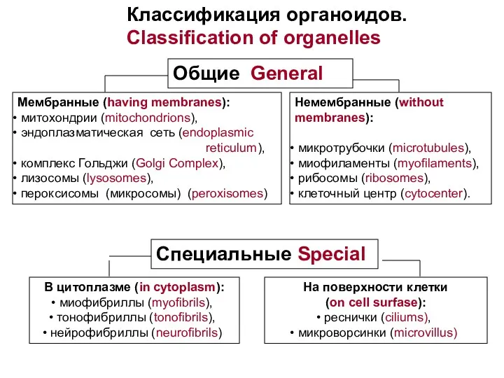 Классификация органоидов. Classification of organelles Общие General Специальные Special Мембранные