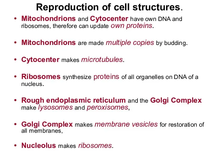 Reproduction of cell structures. Mitochondrions and Cytocenter have own DNA