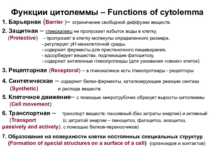 Функции цитолеммы – Functions of cytolemma 1. Барьерная (Barrier )–