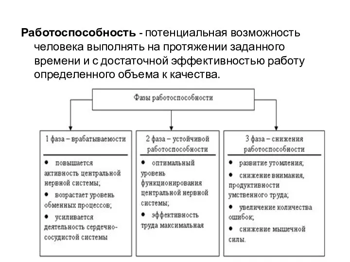 Работоспособность - потенциальная возможность человека выполнять на протяжении заданного времени