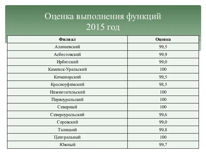 Оценка выполнения функций 2015 год