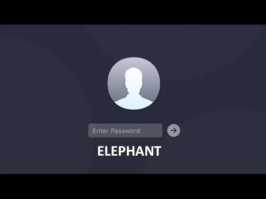 ELEPHANT